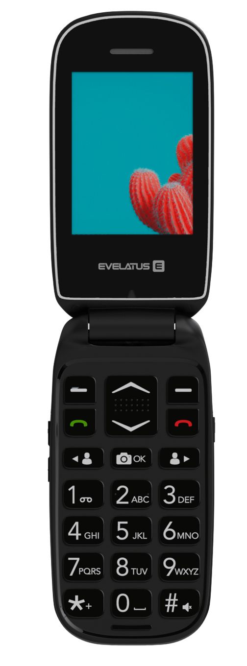Mobiiltelefon Evelatus  WAVE 2020 DS (EW02BK) Graphite Black