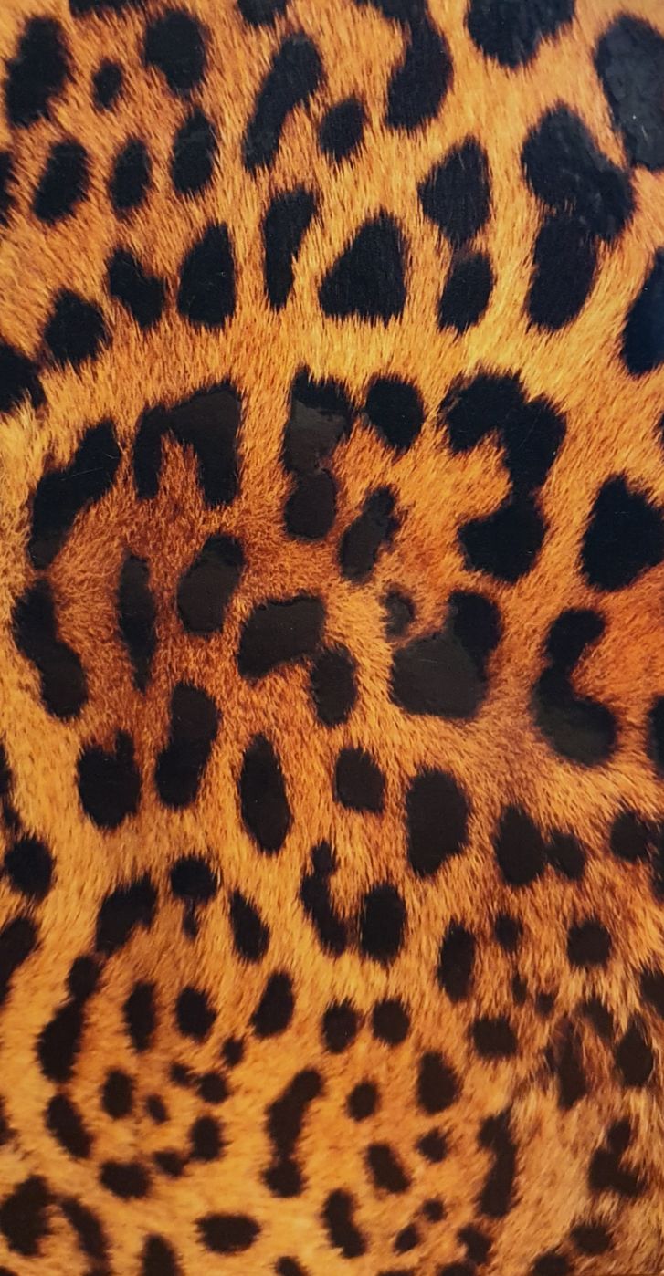 Kaitsekile Evelatus Universal Leopard Colorful Film for Screen Cutter