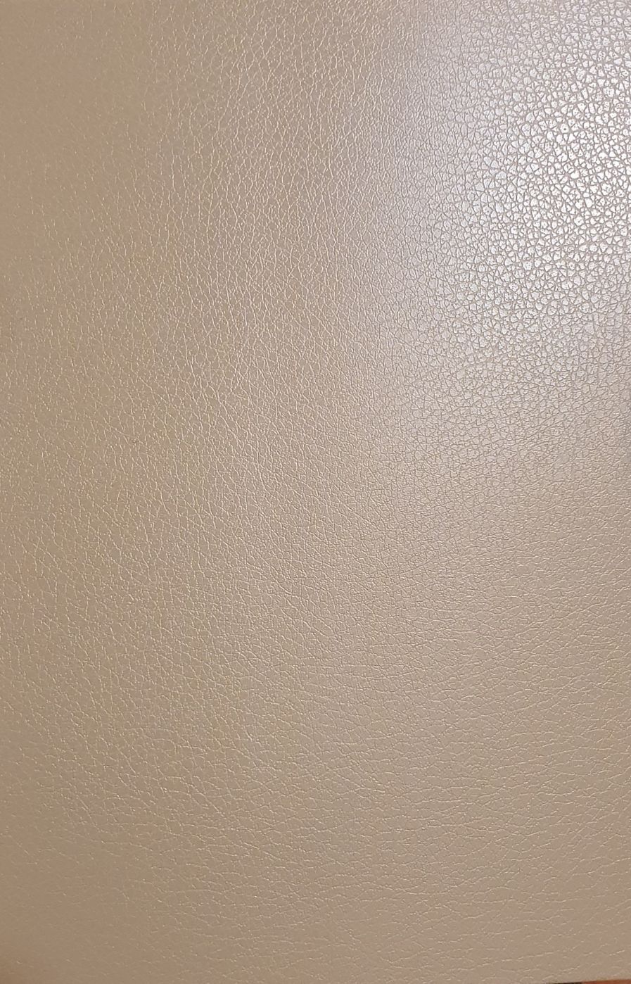 Protective film Evelatus Universal Leather Film for Screen Cutter Beige