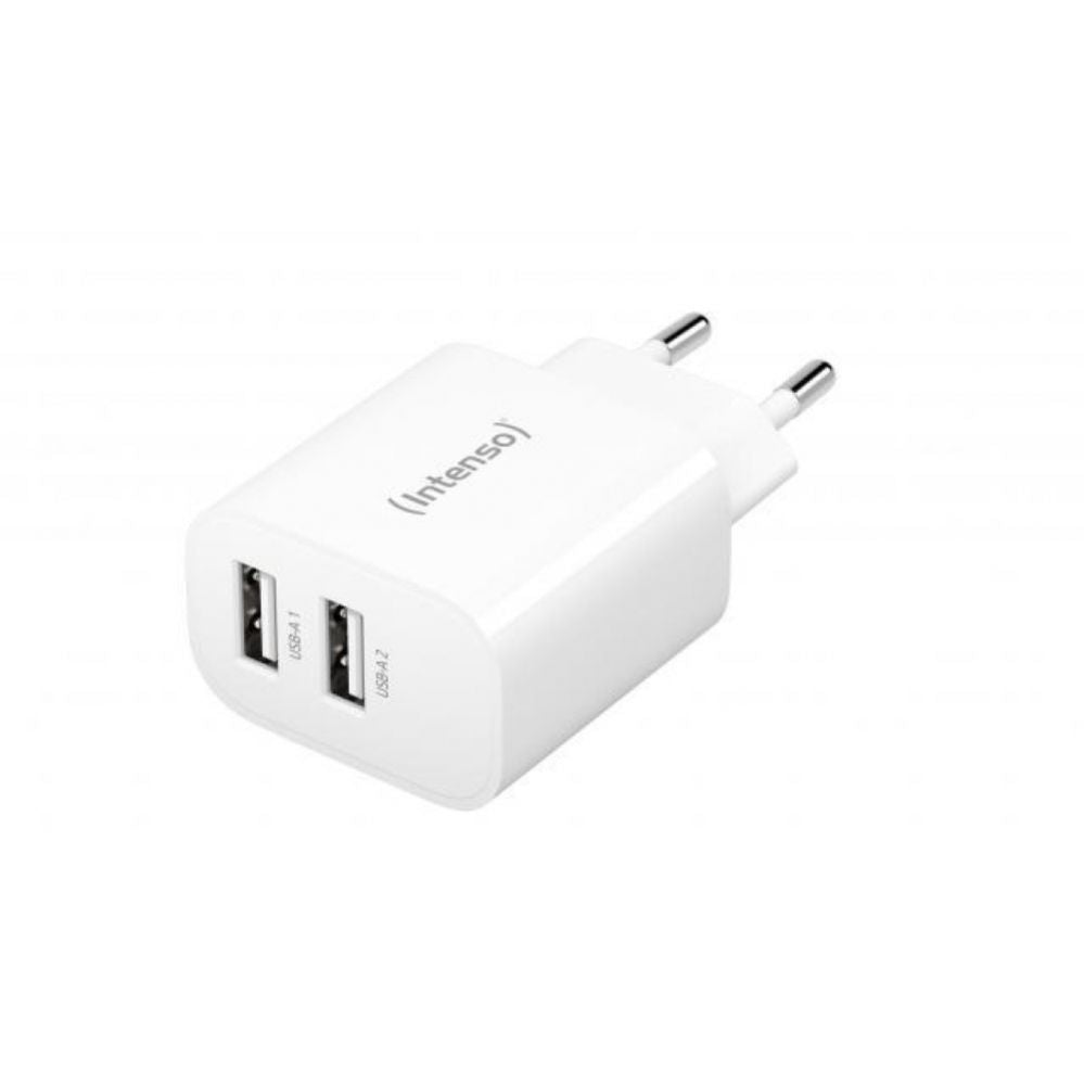 Adaptrid Intenso  POWER ADAPTER 2x USB-A/7802412
