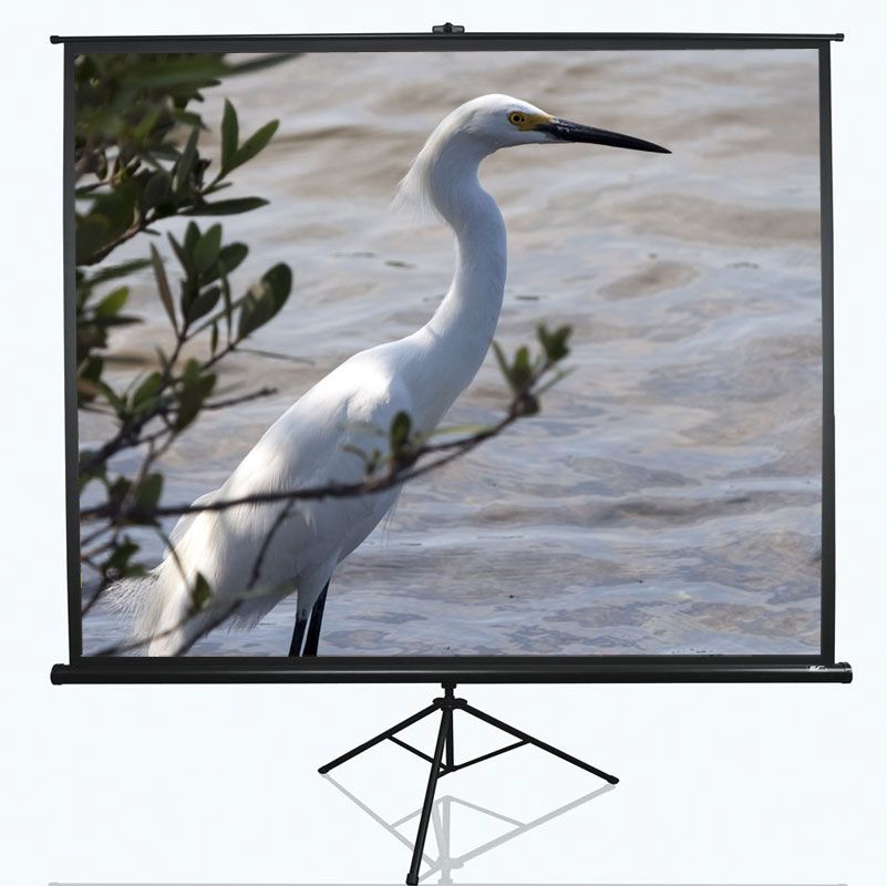 Screen for projectors Elite Screens  Tripod Series T100UWV1 Diagonal 100