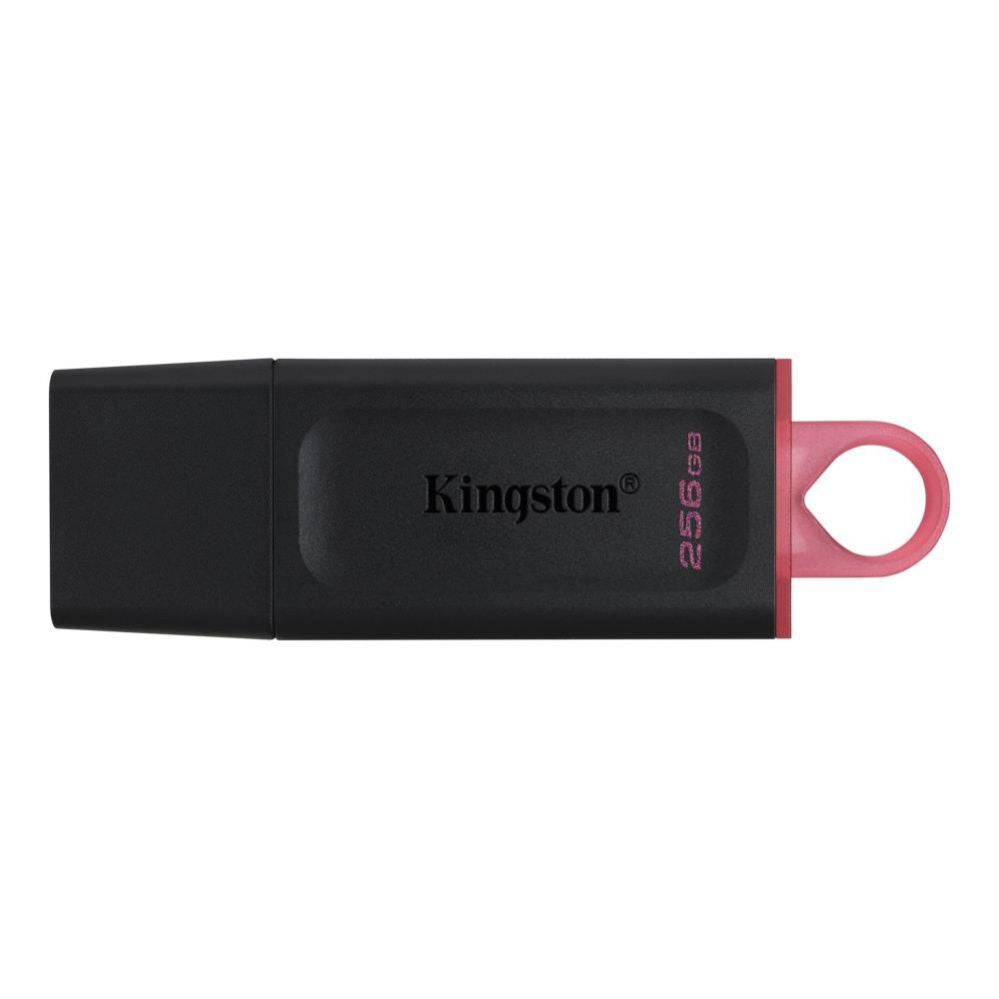 Mälupulk Kingston  MEMORY DRIVE FLASH USB3.2/256GB DTX/256GB