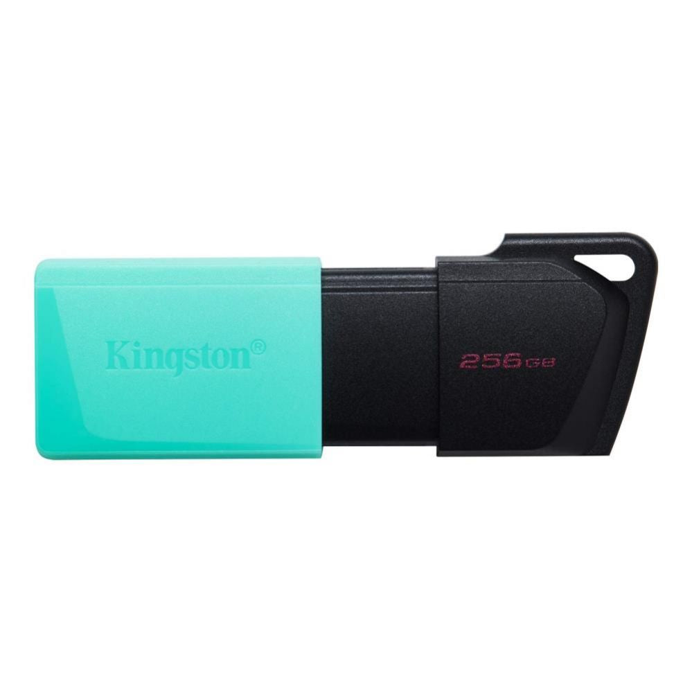 Mälupulk Kingston  MEMORY DRIVE FLASH USB3.2/256GB DTXM/256GB
