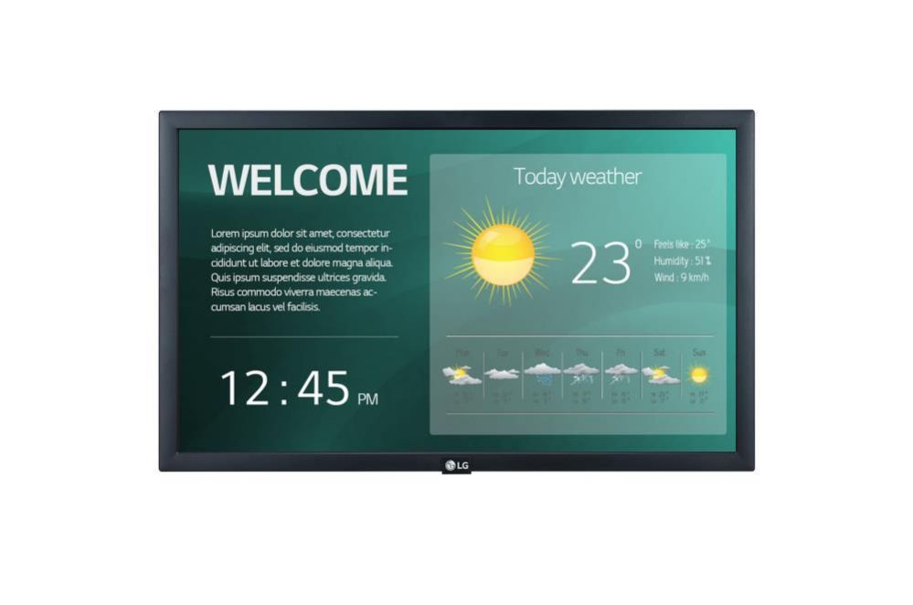 Monitor LG  DISPLAY LCD 22"/22SM3G-B