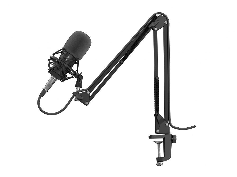 Другой аксессуар для компьютера Genesis  Gaming Microphone Radium 300 Black, Wired