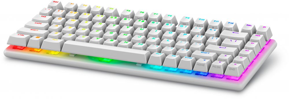 Arvuti klaviatuur Dell  545-BBFR Alienware Pro Gaming Keyboard Wireless US Alienware Linear Mechanical Lunar Light Bluetooth
