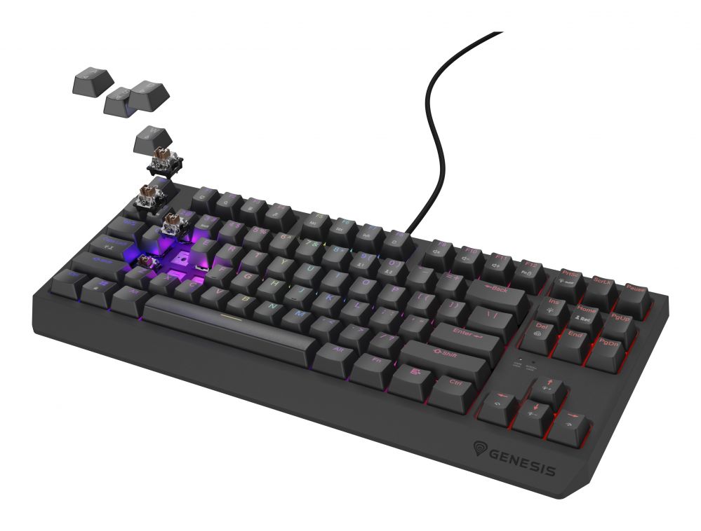 Computer keyboard Genesis  THOR 230 | Mechanical Gaming Keyboard | Wired | US | Black | USB Type-A | Outemu Brown