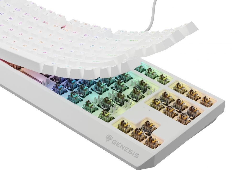 Computer keyboard Genesis  THOR 230 | Mechanical Gaming Keyboard | Wired | US | White | USB Type-A | Outemu Brown