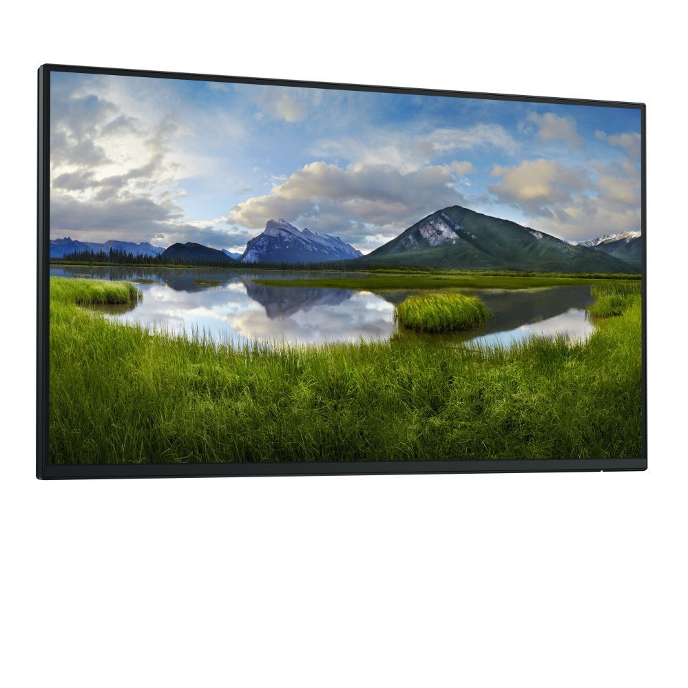Monitor Dell  LCD P2425H, 24" IPS FHD/1920x1080/DP,HDMI,USB-C,USB, VGA/No Stand/Black