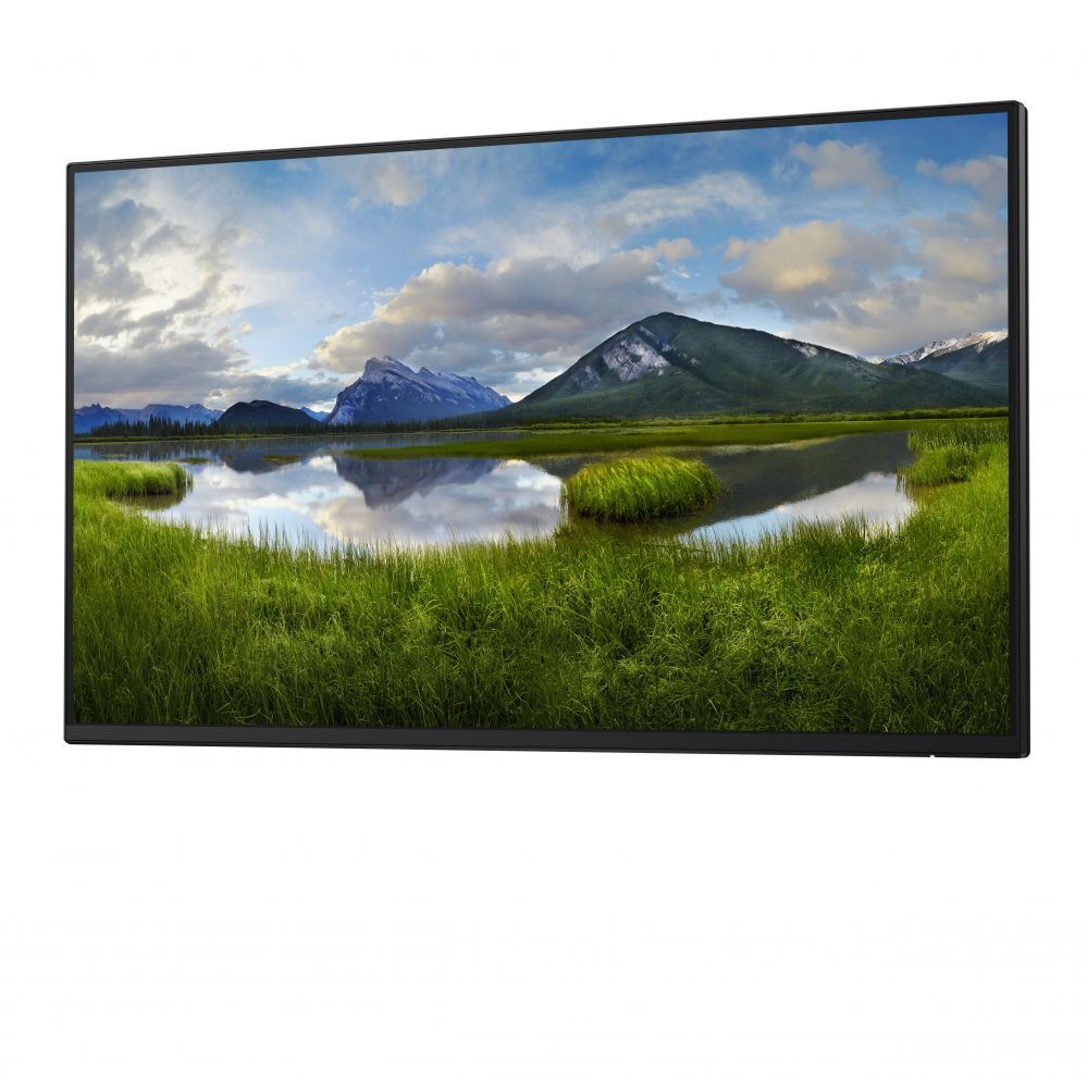 Monitor Dell  LCD P2425H, 24" IPS FHD/1920x1080/DP,HDMI,USB-C,USB, VGA/No Stand/Black