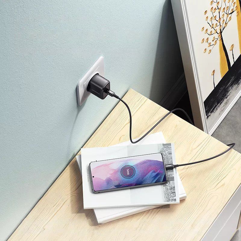 Адаптер Ugreen  USB Type C charger 25W Power Delivery + USB Type C cable 2m (50581) Black