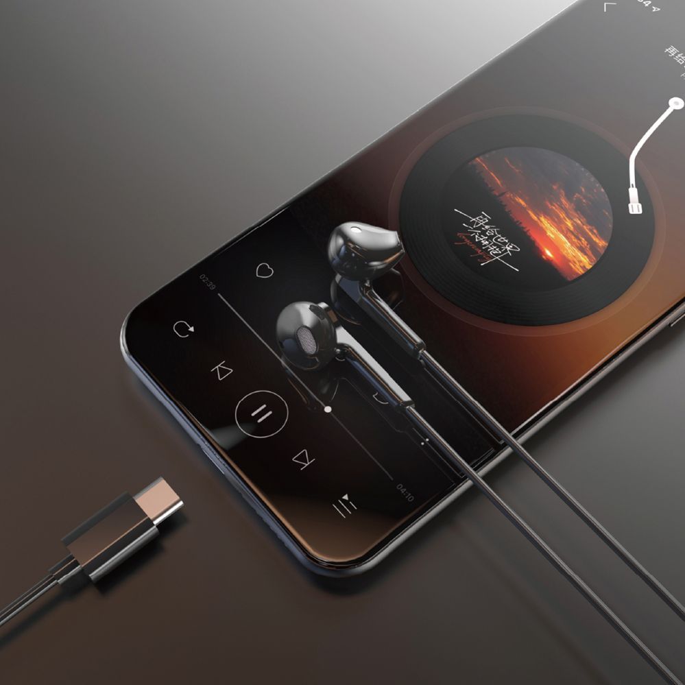 Wired headphones Dudao  Dudao X3C In-Ear Wired USB-C Headphones 1.2m - Black