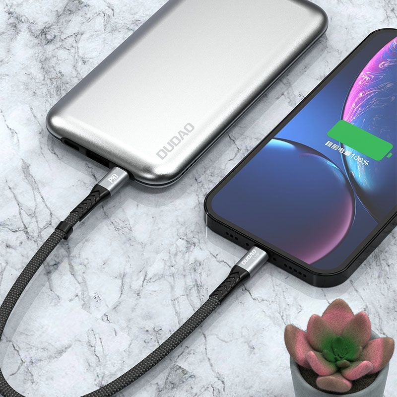 Cable Dudao  Dudao L10P Lightning - USB-C PD 20W cable 0.23m - black