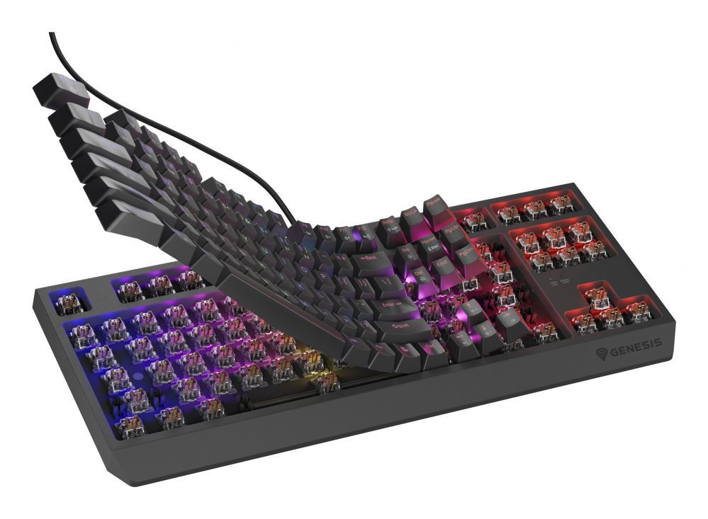 Computer keyboard Genesis  THOR 230 | Mechanical Gaming Keyboard | Wired | US | Black | USB Type-A | Outemu Brown