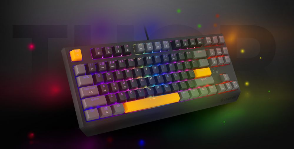 Компьютерная клавиатура Genesis  THOR 230 | Mechanical Gaming Keyboard | Wired | US | Anchor Gray Positive | USB Type-A | Outemu Red