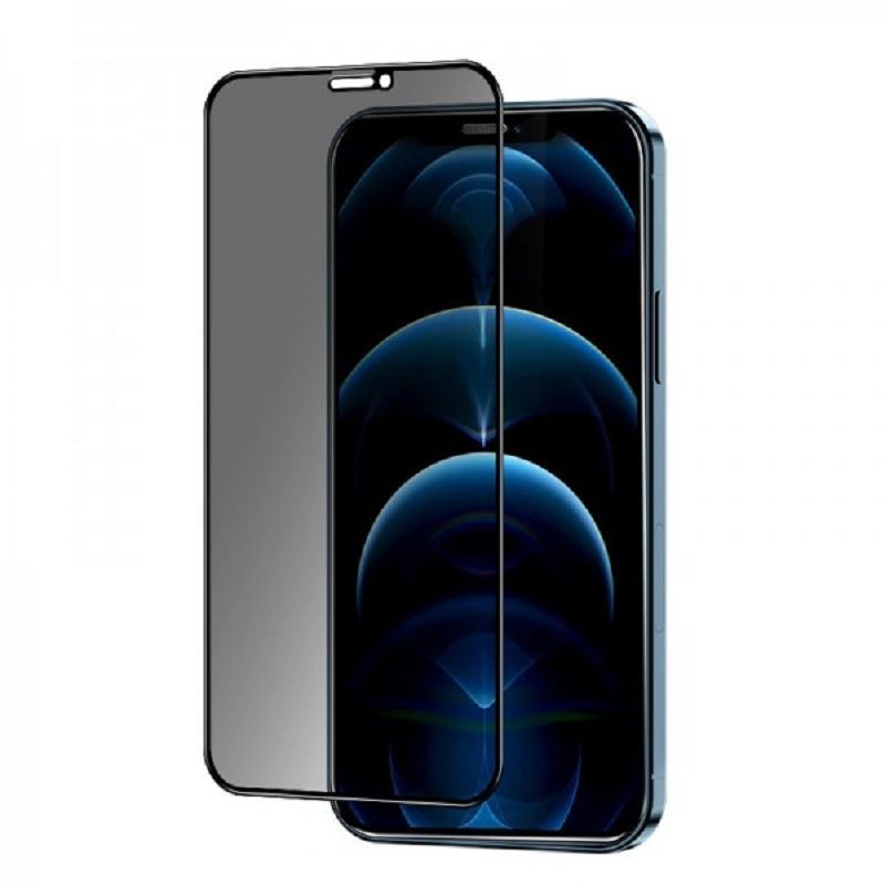 Protective glass Evelatus Apple iPhone 12 Pro Max Privacy 2.5D Silk Full Cover Japan Glue Anti-Static