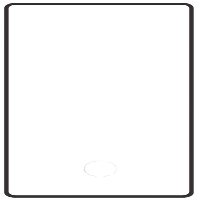 Защитное стекло Evelatus Samsung Galaxy Note 10 2.5D Full Cover Japan Glue Glass Anti-Static