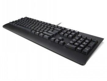 Arvuti klaviatuur Lenovo  LENOVO PREFERRED II PRO USB KEYBOARD FIN/SWE (COPILOT)
