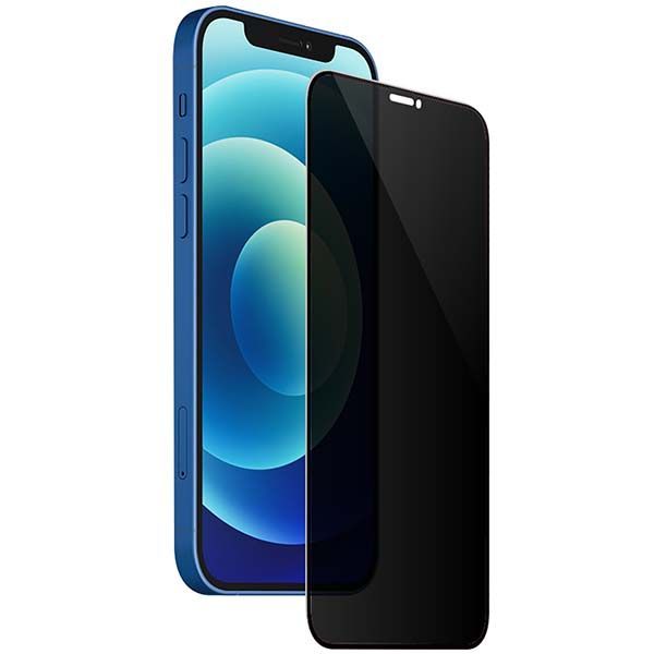 Protective glass Evelatus Apple iPhone 12 Pro Max Privacy 2.5D Silk Full Cover Japan Glue Anti-Static