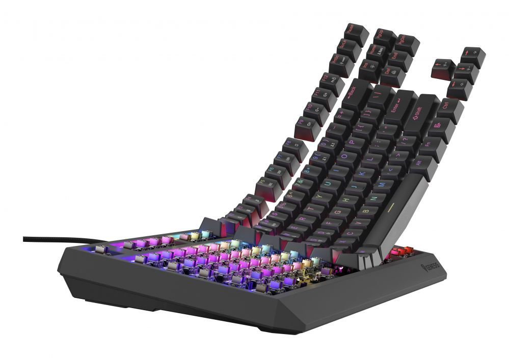Computer keyboard Genesis  THOR 230 | Mechanical Gaming Keyboard | Wired | US | Black | USB Type-A | Outemu Brown
