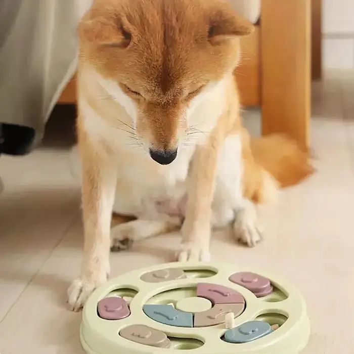 Another product iLike  Dog Treat Puzzle Feeder diam.24cm Interactive Slow-Eating Toy Training Game Multicolor