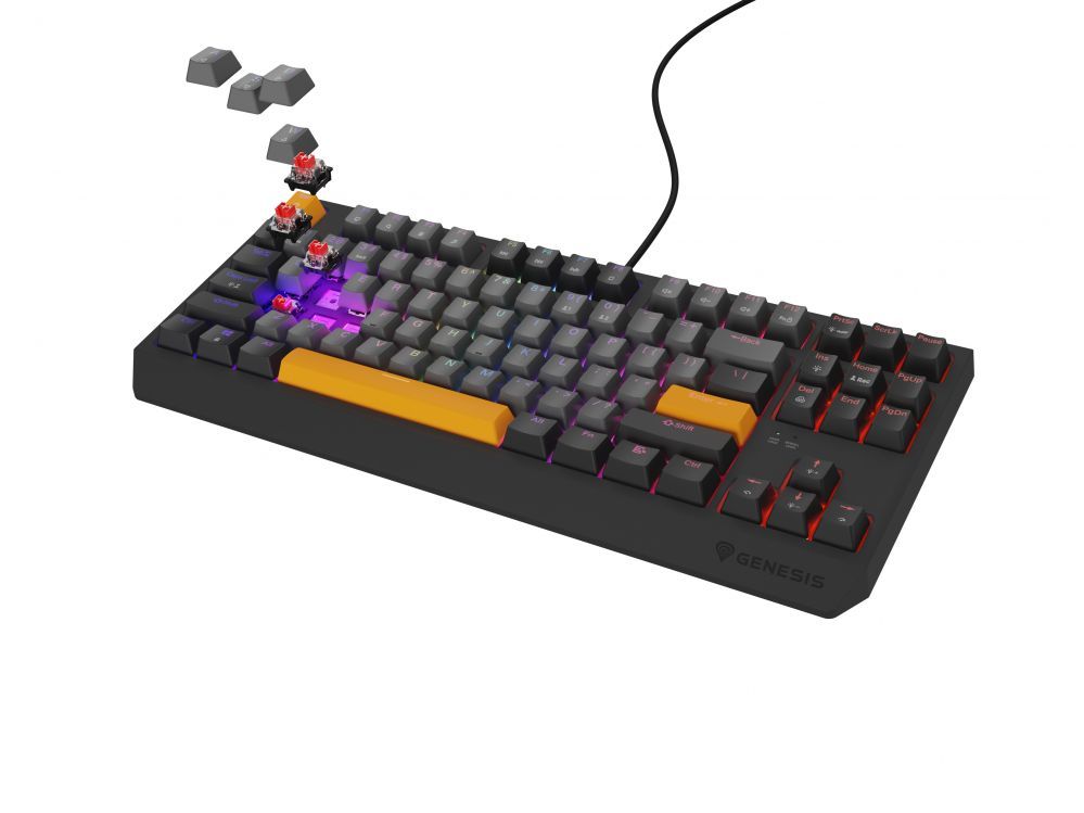 Компьютерная клавиатура Genesis  THOR 230 | Mechanical Gaming Keyboard | Wired | US | Anchor Gray Negative | USB Type-A | Outemu Red