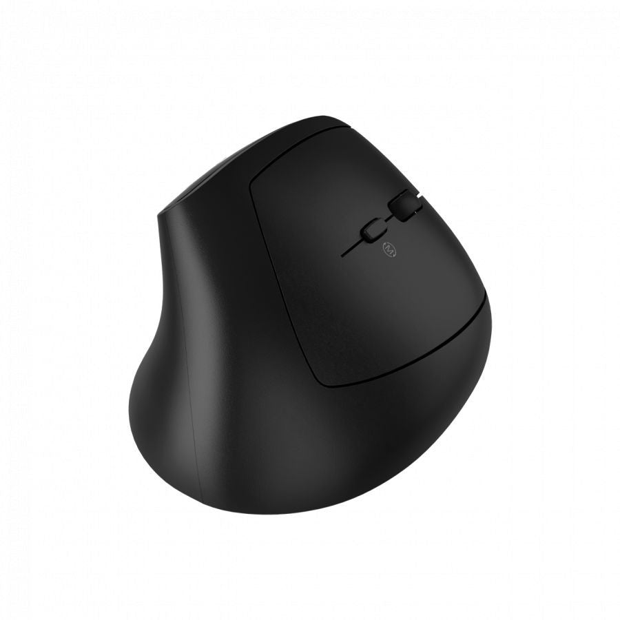 Computer mouse Canyon  CANYON mouse MW-25 Ergonomic LED AA Dual mode Wireless Black