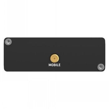 Routers Teltonika  TELTONIKA IOT MODEM TRM200 LTE CAT4