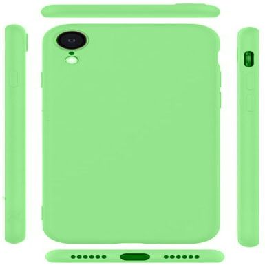 Чехол на заднюю панель Evelatus Apple iPhone XR Nano Silicone Case Soft Touch TPU Mint