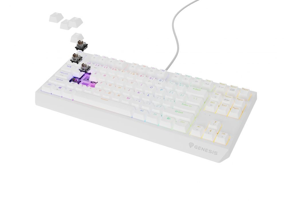 Computer keyboard Genesis  THOR 230 | Mechanical Gaming Keyboard | Wired | US | White | USB Type-A | Outemu Brown