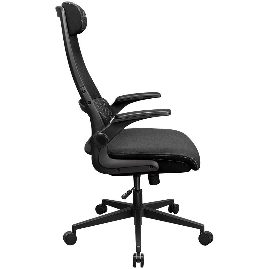 Computer chairs / desks COUGAR GAMING  COUGAR Stryder Gaming Chair