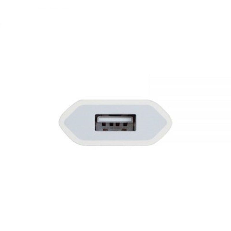 Adaptrid Apple  MD813 A1400 iPhone Bulk