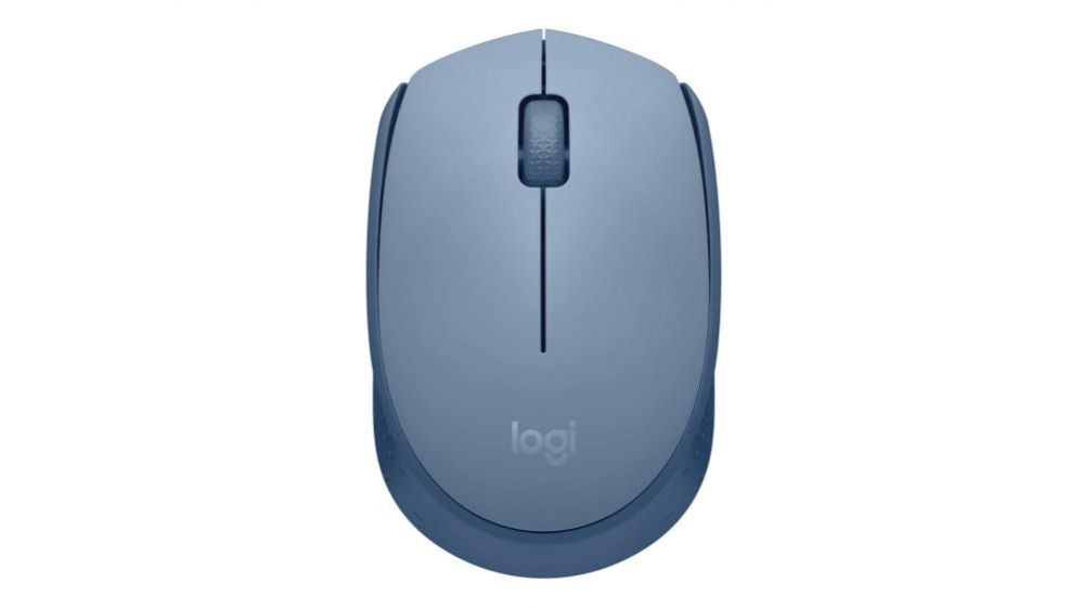 Arvutihiir Logitech  MOUSE USB OPTICAL WRL M171/BLUE 910-006866