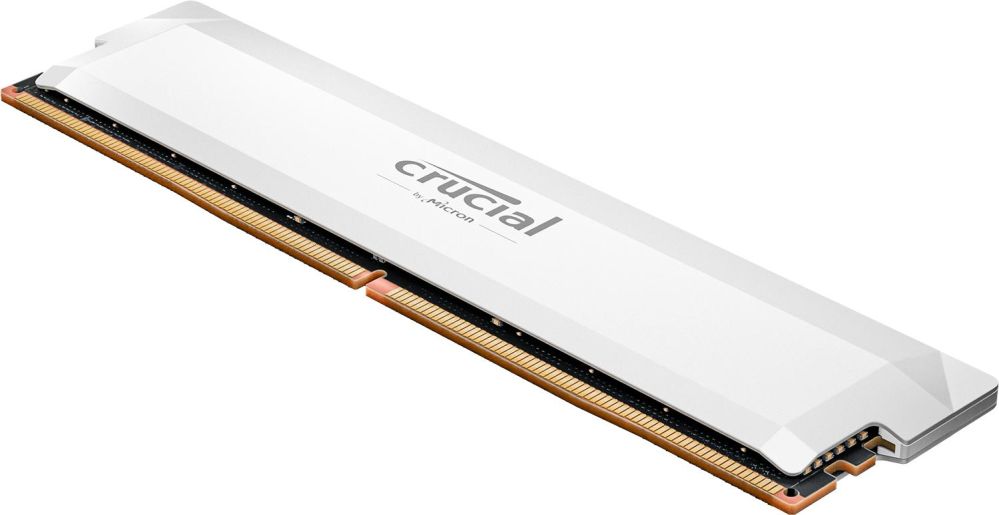 Operatiivmälu DDR4 Crucial  MEMORY DIMM PRO 16GB DDR5-6400/CP16G64C38U5W