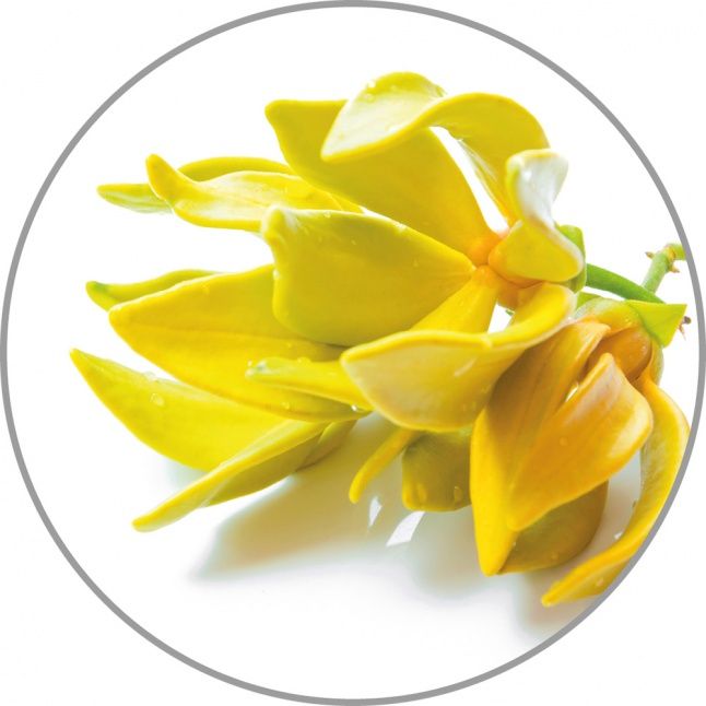 Умное устройство Medisana  Medisana Aroma essence Ylang-Ylang