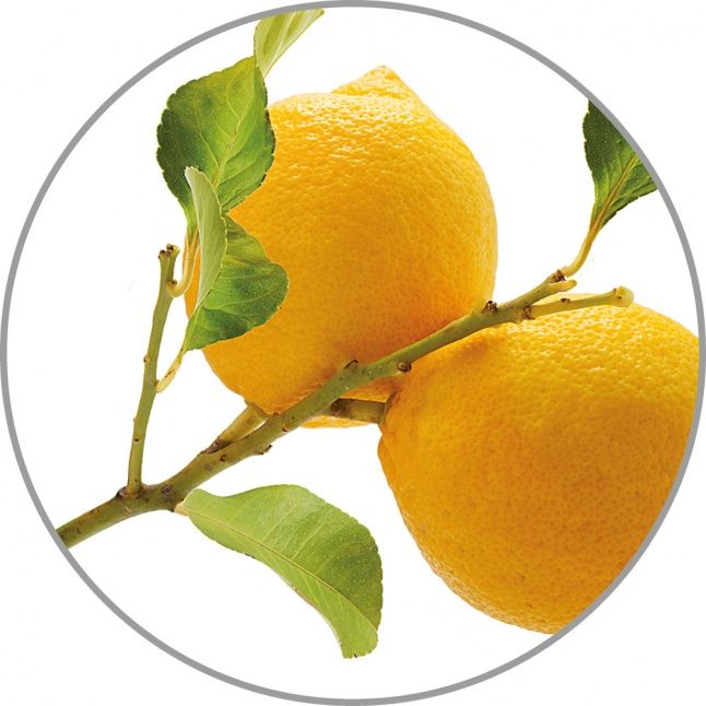 Smart device Medisana  Medisana Aroma essence Lemon