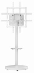 TV bracket Gembird  TV stiprinājums Gembird 37" - 86" TV floor stand