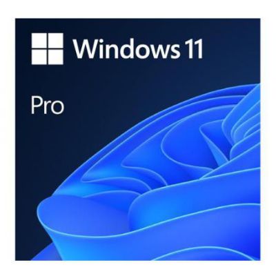 Server - Other Accessories Microsoft  Win 11 Pro 64Bit Eng Intl 1pk DSP OEI DVD