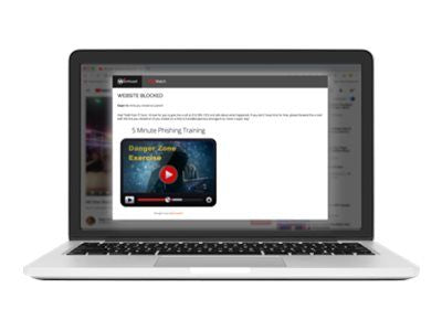 Программное обеспечение WatchGuard  DNSWatchGO | DNS | 1 year(s) | 1-50 user(s)