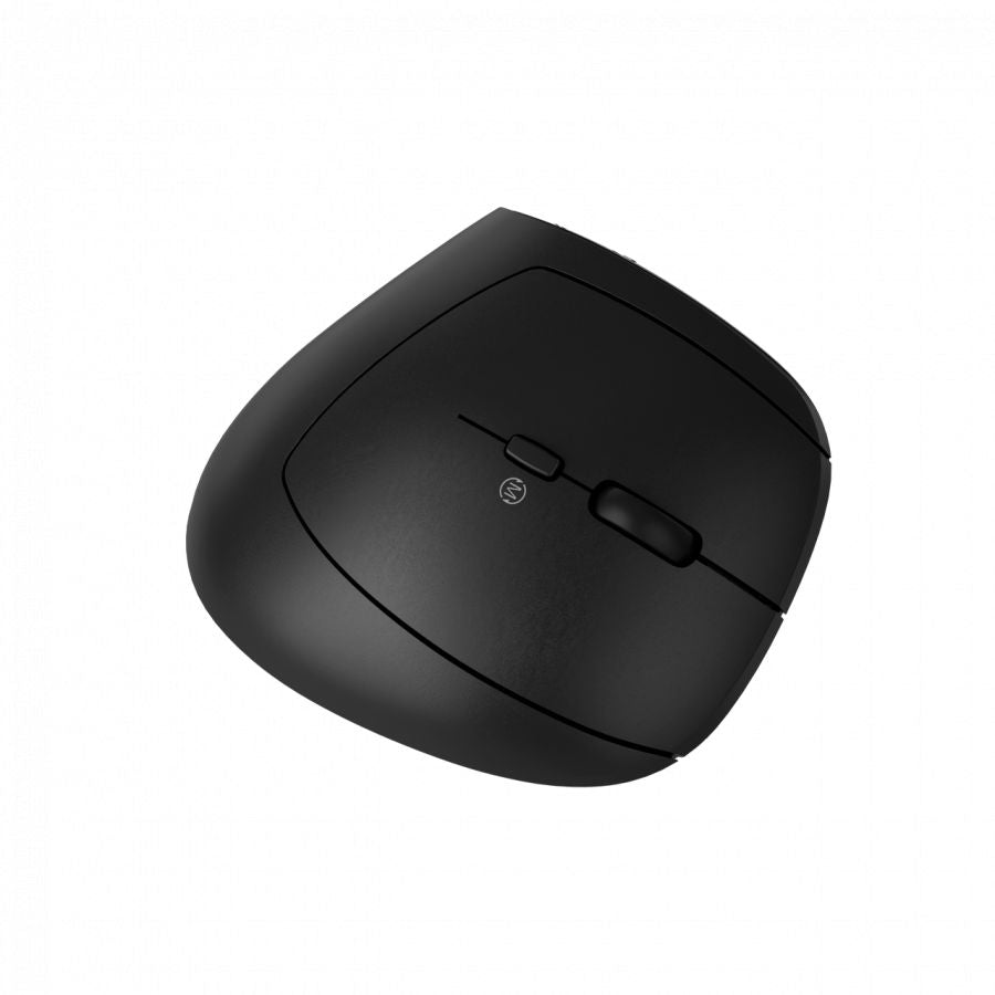 Computer mouse Canyon  CANYON mouse MW-25 Ergonomic LED AA Dual mode Wireless Black